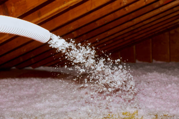 Best Geographic-Specific Insulation Services in Dakota City, NE