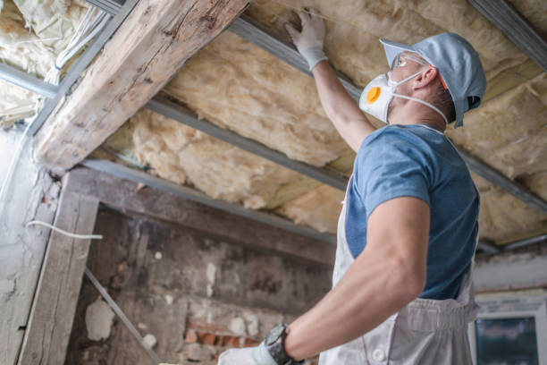 Types of Insulation We Offer in Dakota City, NE