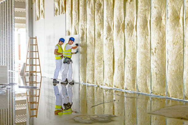 Best Commercial Insulation in Dakota City, NE